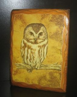   BURNT WOOD PLAQUE W BEAUTIFUL OWL PRINT BY MARY BLAND WALL HANGING