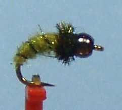 Tungsten Caddis Larva Midge Emerger May Fly sz.20 HOT PATTERN