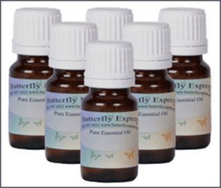butterfly express pure essential oils  more 