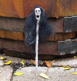 miniature dollhouse witch wizard corpse head staff from canada time 