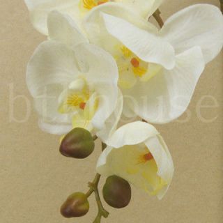 Phalaenopsis Orchid Moth Orchid Home Decor Artificial Silk 