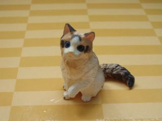 Furuta Choco Q Pets figure #11  Ragdoll cat Brown Kitten Kaiyodo