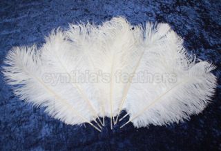   12 14 Snow White Ostrich Drab Plume Feathers Wedding, Millinery, NEW