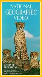 National Geographic Video   Season of the Cheetah VHS, 1997