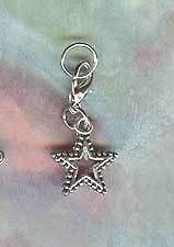 silver shining star charm dog cat pet or horse jewelry