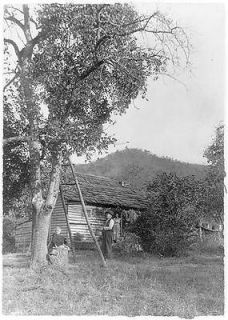 Mountain apple tree,Western North Carolina,1917,​ladder