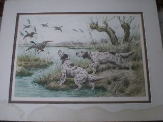 Georges Frederic Rotig Etching Print Duck Hunting English Setter