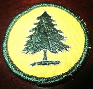 boy scouts bsa patrol uniform patch pine tree 