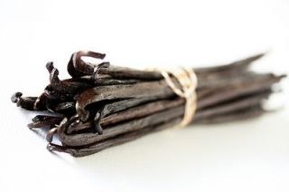   oz `Madagascar Vanilla Bean` Fragrance Oil for Candles/Soap/Home