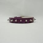   Pet Cat Puppy Dog PU Leather Row Spiked Cute Collar Size XS S M L New