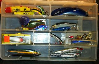 Lot of 25 Fresh Water Fishing Lures w/ Cases Rapala Mepps Lewis Rebel 