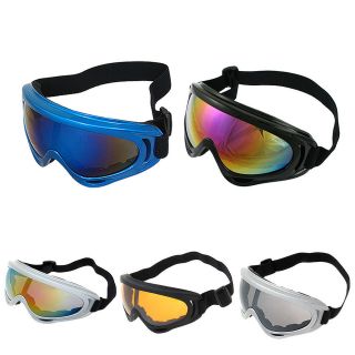 Skiing Snowboard Goggle Anti Snow Tinted Lens 5 Frame Color Rainbow 