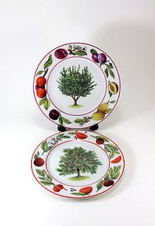 Email de Limoges Marino St Martin Fruit Plate Set of 2 Gorgeous