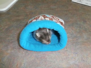   Male Snuggle POUCH Cuddle Bed Cozy Sack Mice   Hamster   Sugar Glider