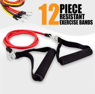 12 pc Resistance Bands Workout Exercise Kit Fit Yoga Pilate Fitness 