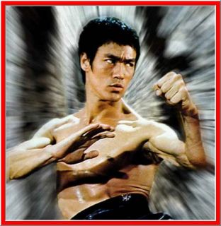 Bruce Lee SECRETS Martial Arts & Karate   Five Martial Arts PDF eBook 
