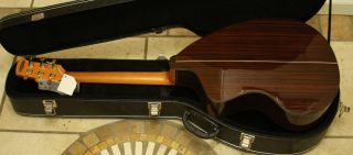 New Brazilian Giannini Handmade GWSCRA6 P EL Acoustic /Electric Guitar 