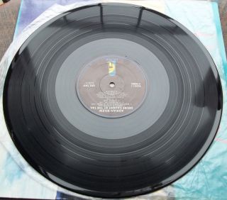 LP Adrian Belew EX King Crimson Desire Caught by The Tail 1st US EX EX 
