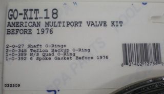 Aladdin Go Kit 18 American Multiport Valve Repair Kit