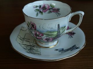   Anne Bone China England Tea Cup Saucer Alberta Wild Rose Souvenir Set