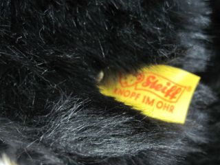 Steiff Bernese Mountain Dog Plush American Kennel Club Collar Stuffed 