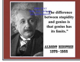 ALBERT EINSTEIN The differencegenius its limits (D)