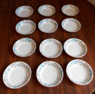 12 Vintage Brierley Alfred Meakin England Royal Semi Porcelain Small 