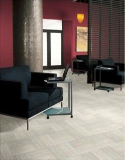 American Olean Antissa 12 x 24 Porcelain Flooring