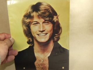 vintage andy gibb wall poster from 1978 nip
