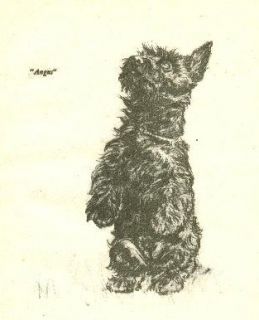 Scottish Terrier Vintage Dog Print 1940 Diana Thorne