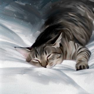 Cat Grey Tabby Pet Original Painting Canvas Art Giclee Print Large 