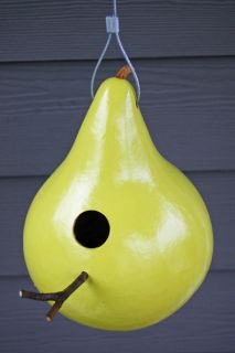 Birdhouse Gourd Seed Annual Vine Ornamental Edible Utensil