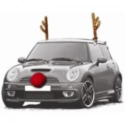   THE RED NOSE REINDEER CAR ANTLERS & NOSE COSTUME FITS ANY VEHICLE