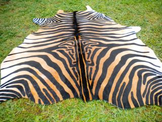 Zebra Print Printed Cowhide Skin Rug Cow Hide DC3259