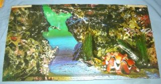 Vintage Penn Plax 3D Aquarium Background w/Box 1975 Creature