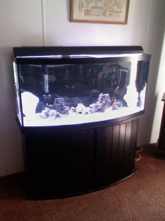 75 Gal Bowfront Aquarium Black Wood Stand Complete Local Pick Up Only 