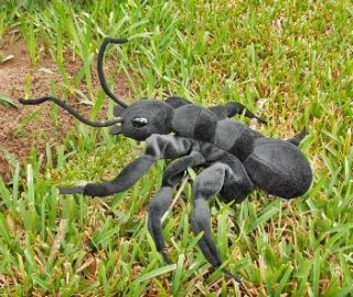 this realistic black ant puppet is 12 inches long and is quite unique 