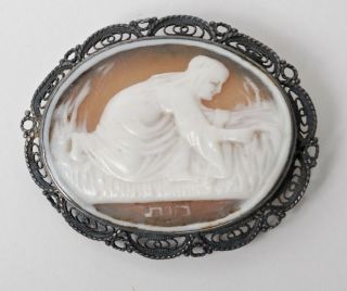 antique shell cameo pin with hebrew writing biblical
