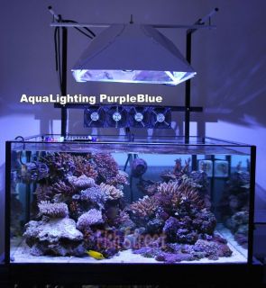 aqua lighting 250w purple blue compare vs with reeflux 20000k blue