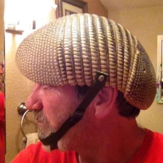 Armadillo Taxidermy Shell Helmet w chin strap