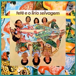 LP Tete E O Lirio Selvagem Espindola Folk Latin Psych Exp Cult 