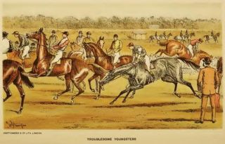 How to Train Race Horses Flat Racing Trotters Pacers