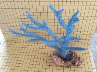 Artificial Coral Grand Staghorn with Rock Base