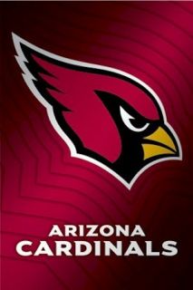 Arizona Cardinals Poster Waves Logo 22x34 NFL National Football League 