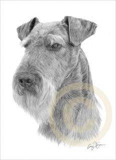   Terrier Le Art Pencil Drawing Print A4 Signed by Artist