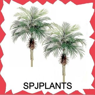 Artificial 4 Foot Phoenix Palm Trees Silk Plant Jungl Fake Date 