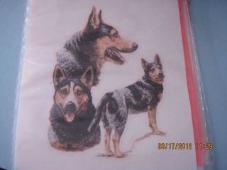 Australian Cattle Dog 402 Iron on Transfer 3 x 3 5 for Material Free 