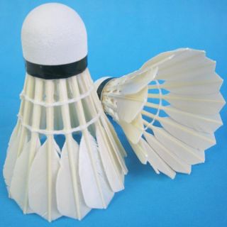 New 12 Natural Feather Badminton Shuttlecocks Pace 8096