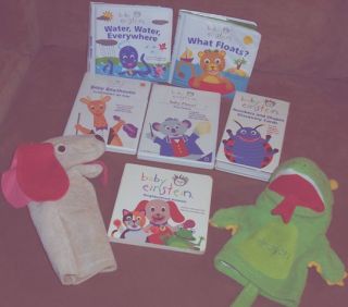 Huge Lot of Baby Einstein Toys DVDs Books Musical Pipes Color Wheel 