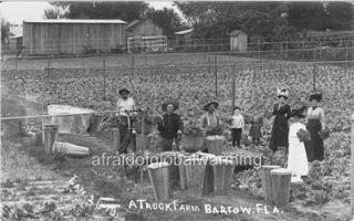 photo 1910s bartow florida a truck farm